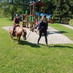 phoca_thumb_m_ponk 24 Fotogalerie
